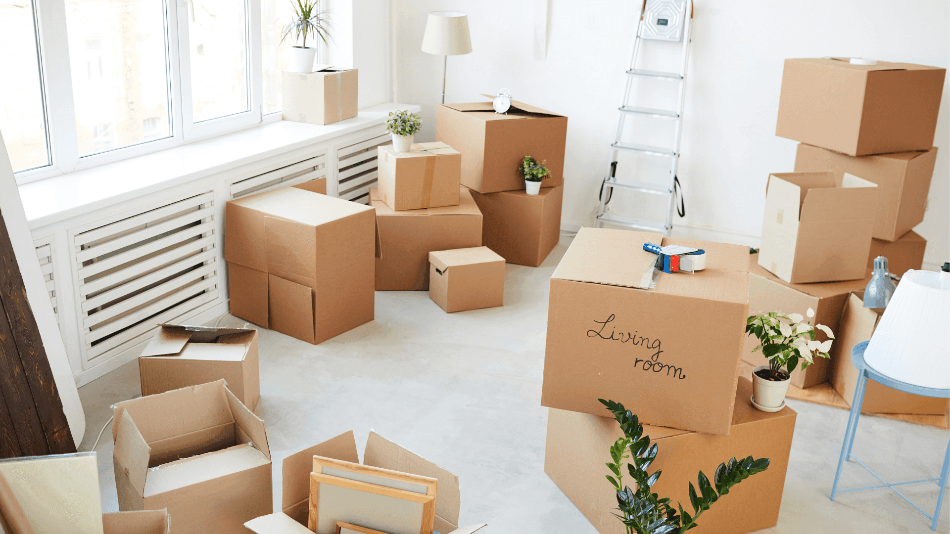 Bright empty room filled with stacked cardboard moving boxes ready for relocation